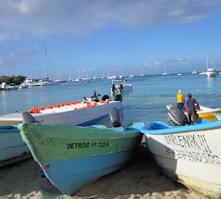 Boote zur Trauminsel Saona