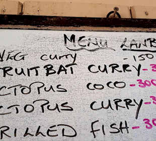 Fledermaus Curry am Strand 