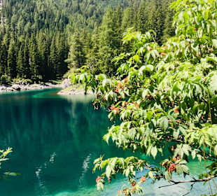 Wandern Vals