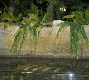 Alle Becken schön angelegt