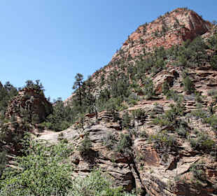 Zion Park