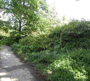 Parkanlage Planten un Blomen