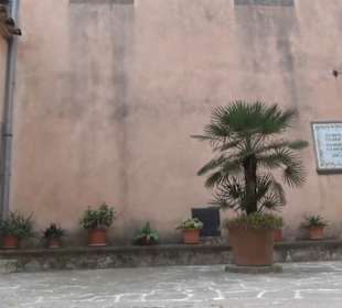 Kloster Sant Salvador