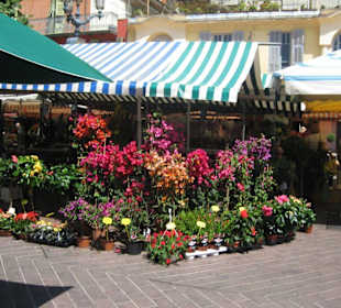 Blumenmarkt in Nizza