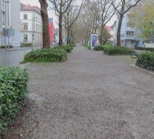 Untere Laube