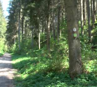 Premiumwanderweg Hochgehschätzt