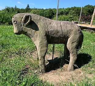 Wisent Welt Wittgenstein