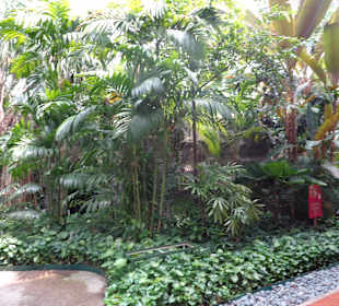 Der Park unter dem Riesenrad