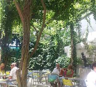 Nette Atmosphäre im Schatten