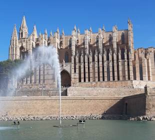 Per pedes zur Kathedrale