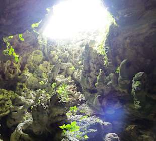 Hohle links vom Wasserfall