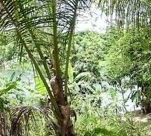 Hier gabs Mittagessen