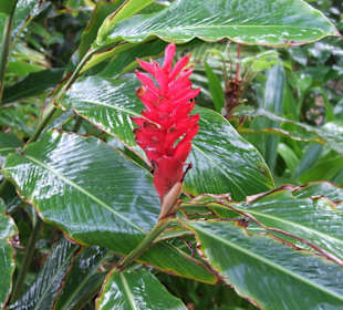 Das konnte ich mir nicht merken