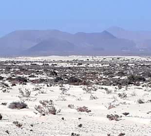 Dünen von Corralejo