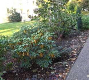 Klostergarten Lenzfried