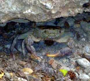 Tal der Schmetterlinge