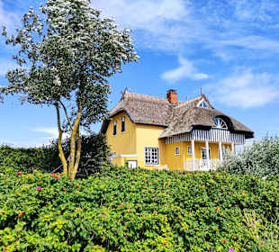 Naturschutzgebiet Graswarder