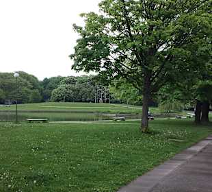 Park