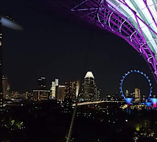 Skypark Marina Bay Sands