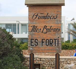 Es Forti