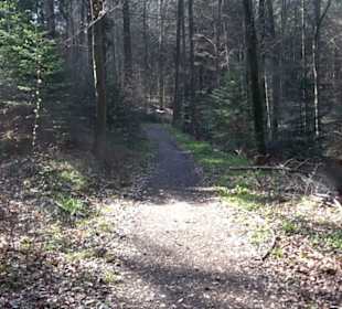 Wanderung Florianrunde