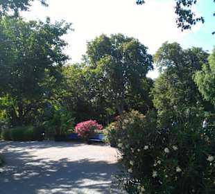 Spaziergang durch Park 2