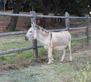 Wandern Georgioupolis