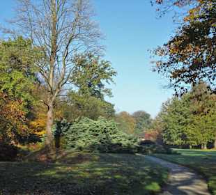 Herbstspaziergang durch den Schlosspark Lütetsburg