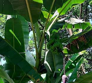 Parque Natural Obô do Príncipe
