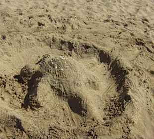 Alles Bauwerk von kleinalen und großen Architekten