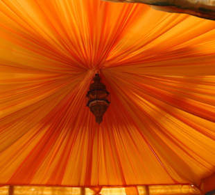 Auch Schattenseiten hat das Leben!