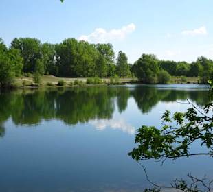 Der zentrale Ellisee im Sandtrockenrasen von Achim