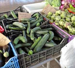 Impressionen vom Obst- und Gemüsemarkt in Figueres