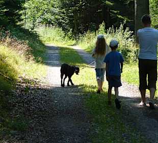Weg von Lauterbach zur Burg Hohenschramberg