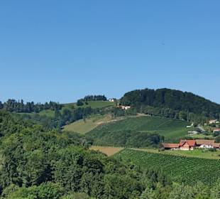 Blick Richtung Kreuzbergwarte