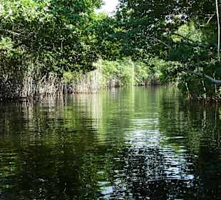 Fahrt auf dem Black River