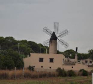 Windmühle