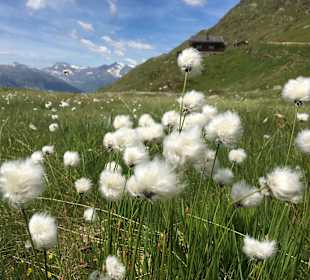 Wanderung Passeiertal