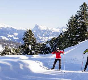 Villanderer Alm