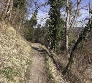 Wanderweg zur Achalm