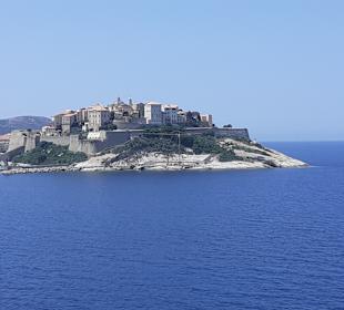 Calvi