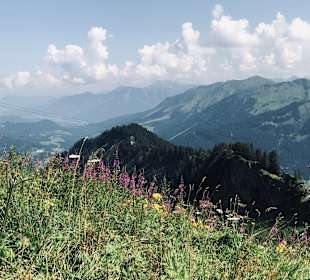 Wandern Mittelberg (Vorarlberg)