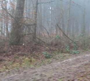 Wasser & Klang Pfad in Auernheim