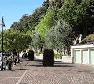 Spaziergang über die morgendliche Uferpromenade