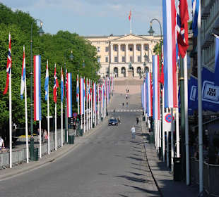 Karl-Johanns-Gate / Blick zum Schloss