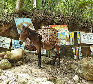 Stadtbesichtigung Las Terrenas