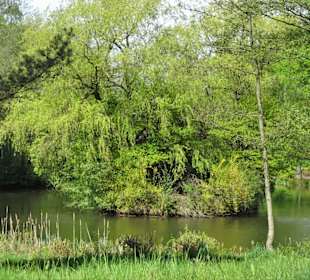 Eindrücke aus dem Walter-Peters-Park