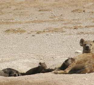 Macierzyństwo nocnego łowcy
