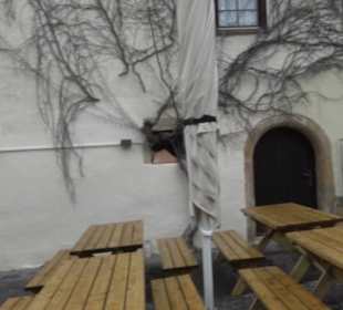 Schloss Hohenentringen