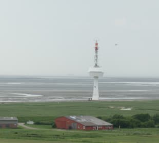Ausblick vom Neuwerker Leuchtturm